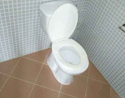 Villa  Duplex Rosier 2