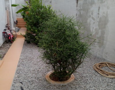 VILLA DUPLEX ROSIER1